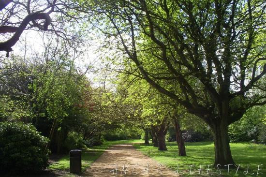 Ogrody Botaniczne Wavertree